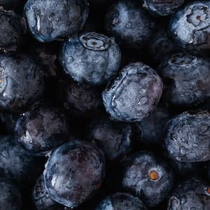 Blåbärssoppa Pulver