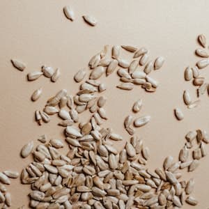 Solroskärnor Naturella