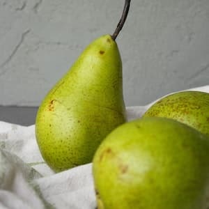 Päron Alexander Lucas