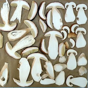 Karljohansvamp Torkad