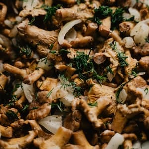 Kantareller Konserverade