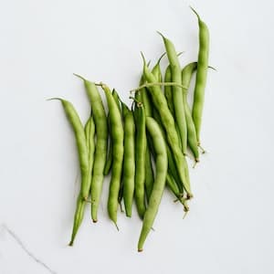 Haricot Verts Färska
