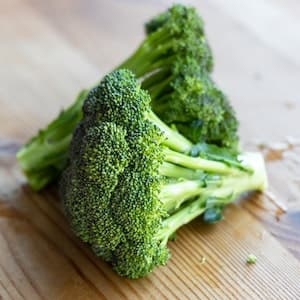 Broccoli Färsk