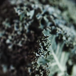 Grönkål Färsk Hel