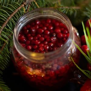 Sylt Lingon Lättsockrad Refill