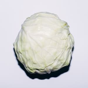 Vitkål Färsk