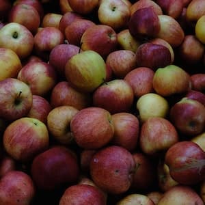 Äpple Aroma