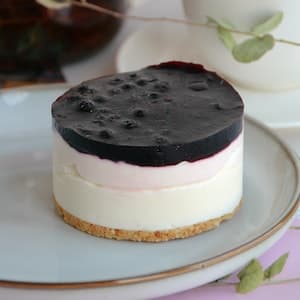 Gelatinpulver Vegetariskt