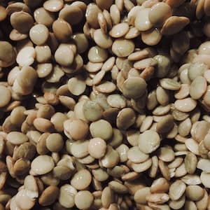 Linser Gröna Färdigkokta