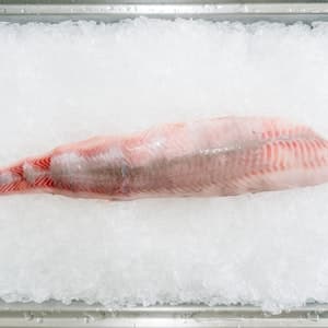 Rödspättafilé Färsk