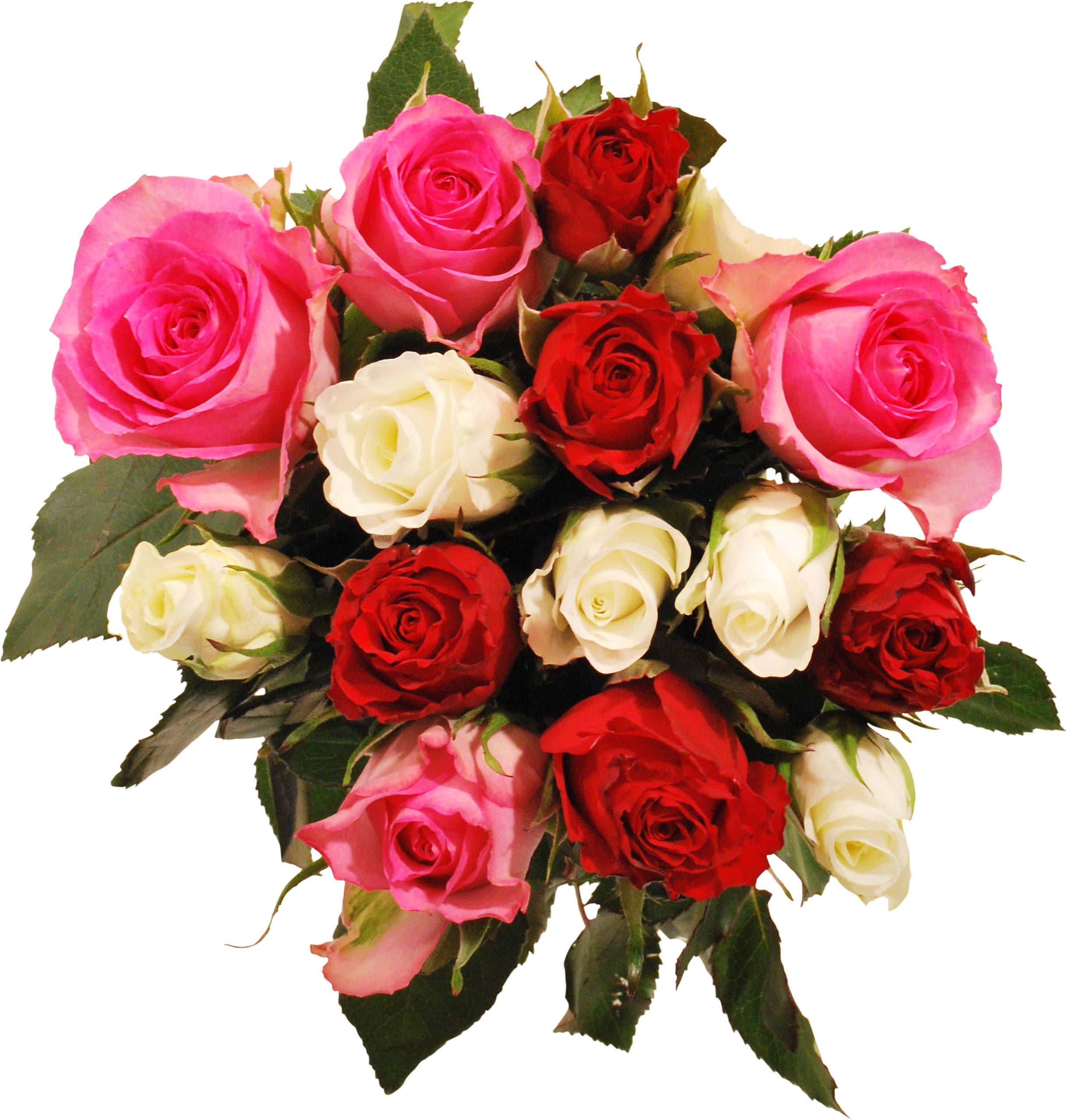 Rosor kallmix 12-pack 35 cm