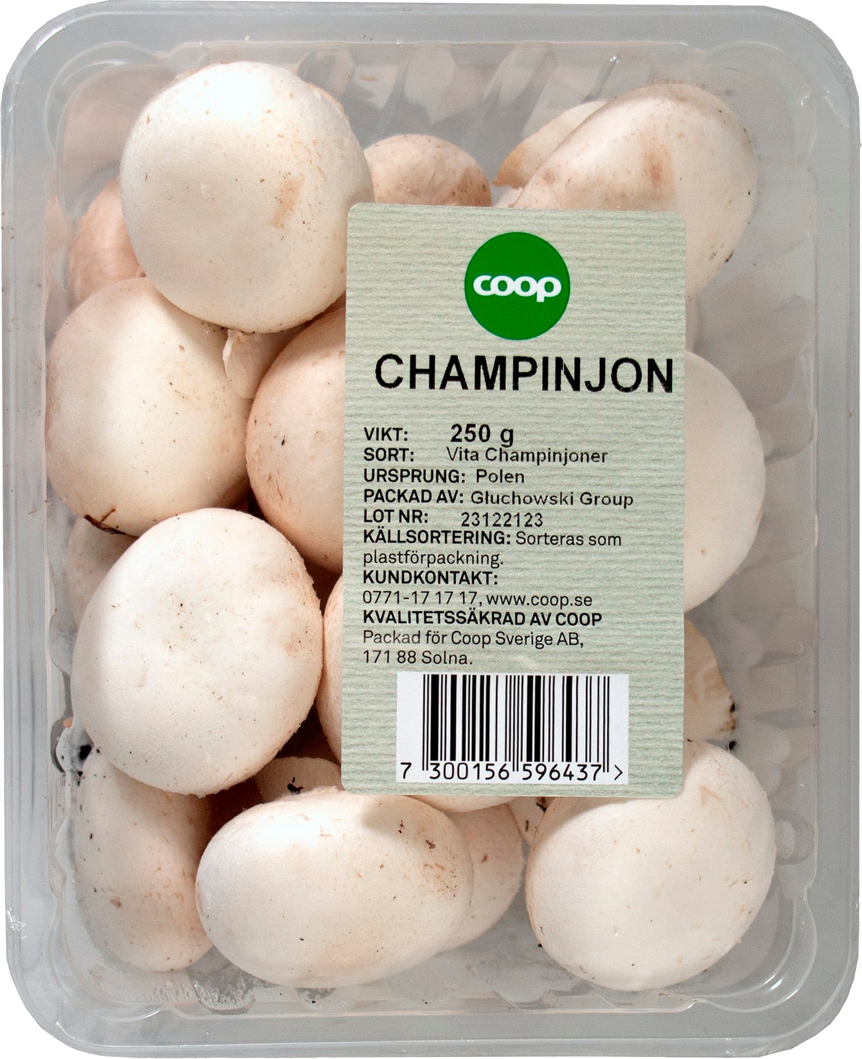 Champinjoner