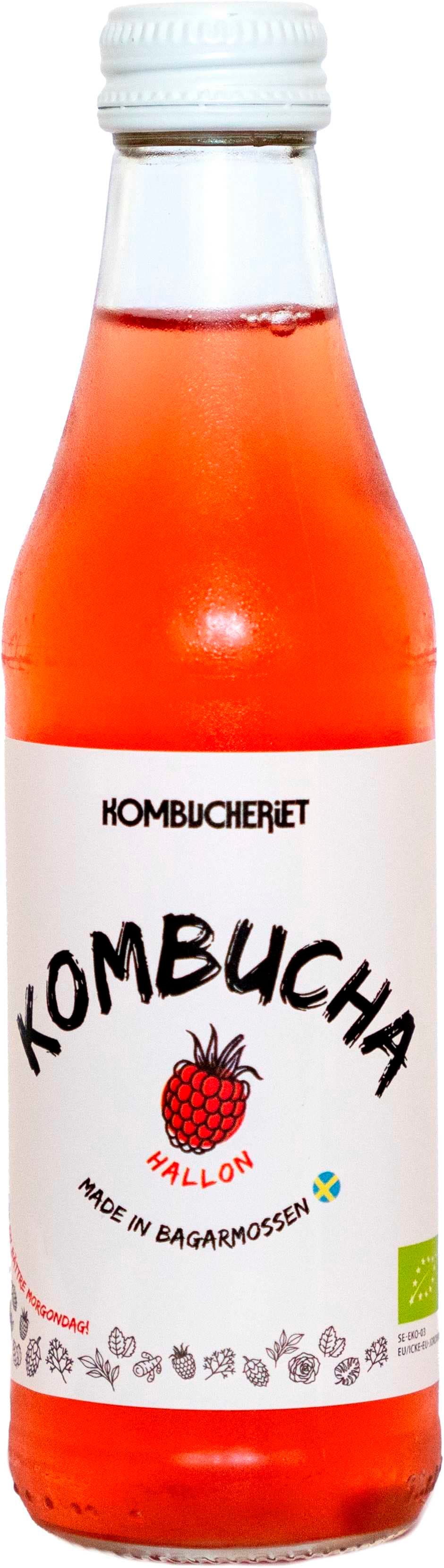 Kombucha Hallon EKO