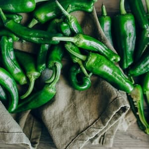 Pimiento de Padron