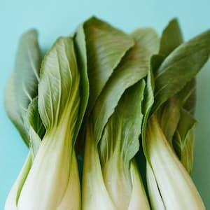 Pak Choi