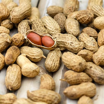 Jordnötter med Skal