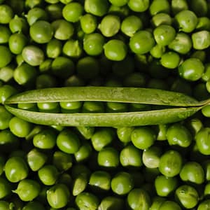Gröna Ärtor Konserverade