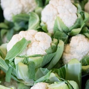 Blomkål Färsk