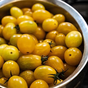 Körsbärstomater Gula