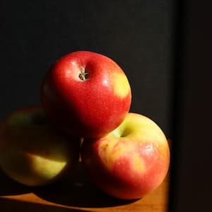 Äpple Elise