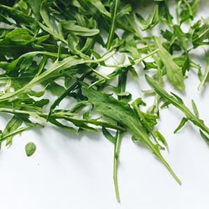 Ruccola