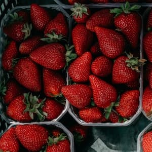 Jordgubbar Färska