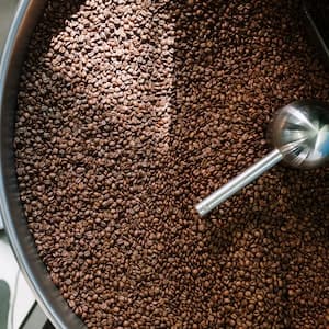 Kaffebönor Mellanrost