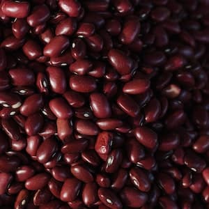 Bönor Kidney Färdigkokta