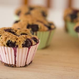 Muffins Blåbär Glutenfria