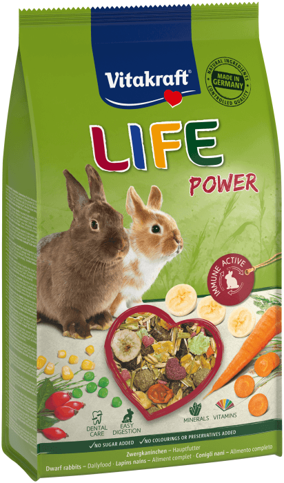 Life Power Kanin