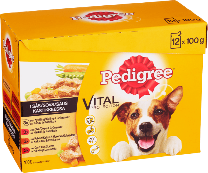 Hundmat Adult 12x100g