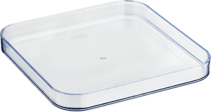 Compact Clear Square Lock