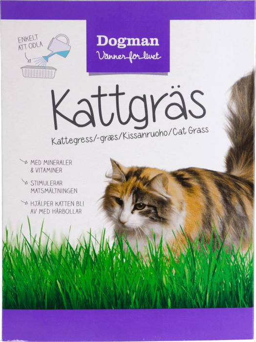 Kattgräs