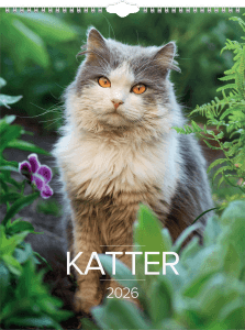 Väggkalender Stora Katt 2026