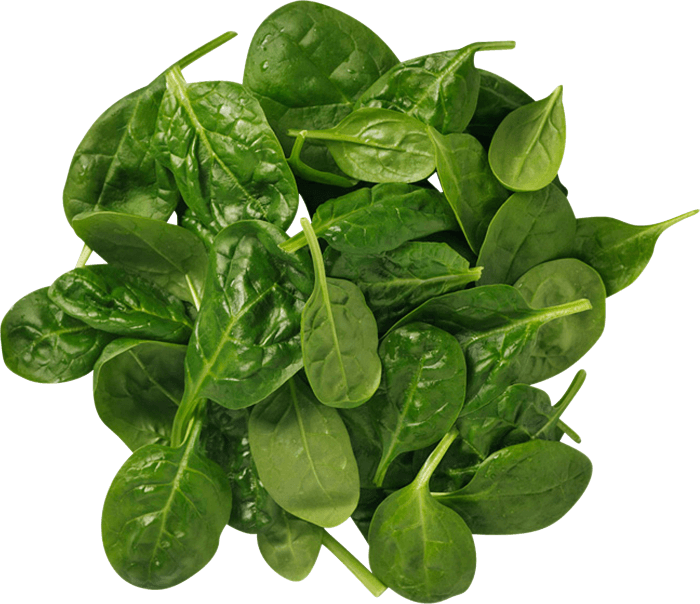 Babyspenat storpack Klass1 Italien