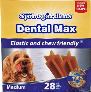 Dentalsticks Max 28-p