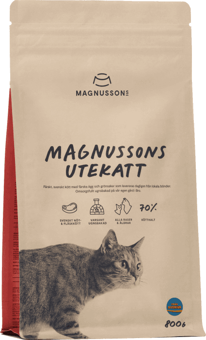 Kattmat Utekatt