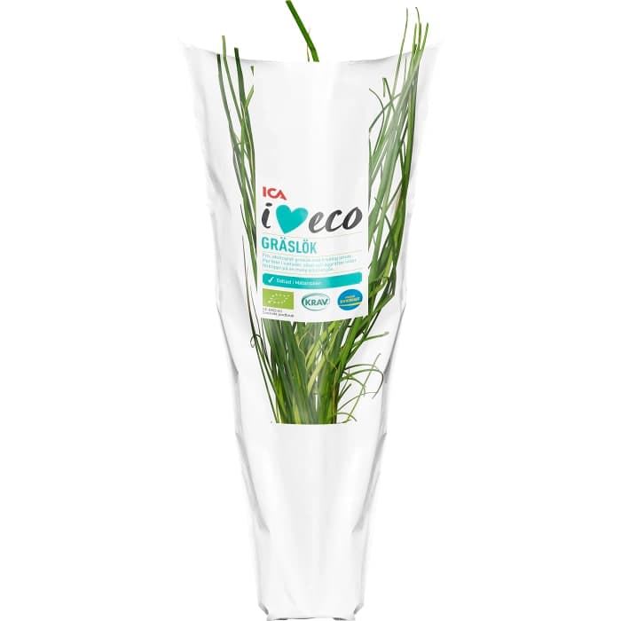 Gräslök i kruka Ekologisk