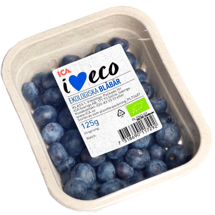 Blåbär Ekologiska