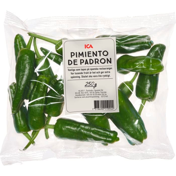 Pimiento de padron