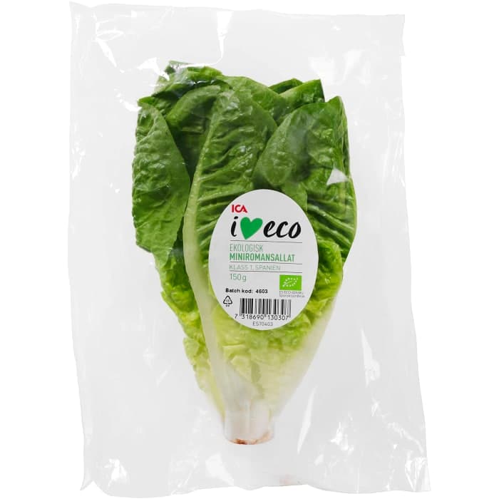 Miniromansallat Ekologisk