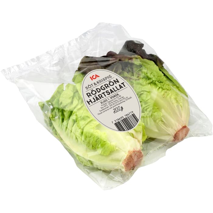 Hjärtsallad röd/grön