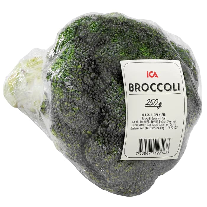 Broccoli