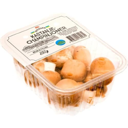 Kastanjechampinjon