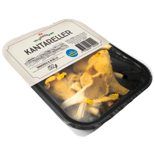 Kantareller