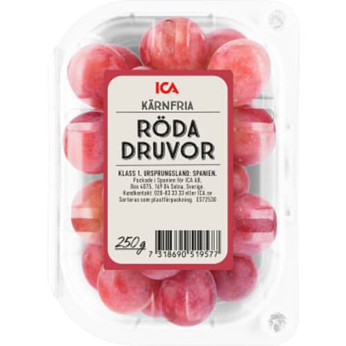 Röda Druvor kärnfria