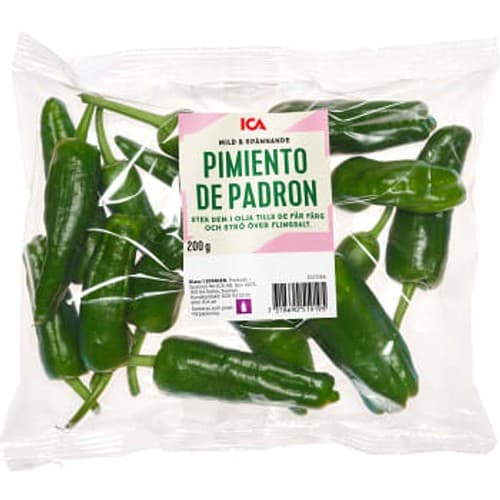 Pimiento Padron