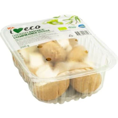 Kastanjechampinjon Ekologisk