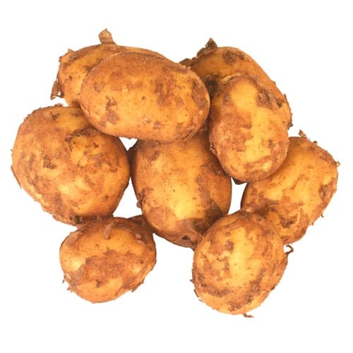 Färskpotatis Otvättad