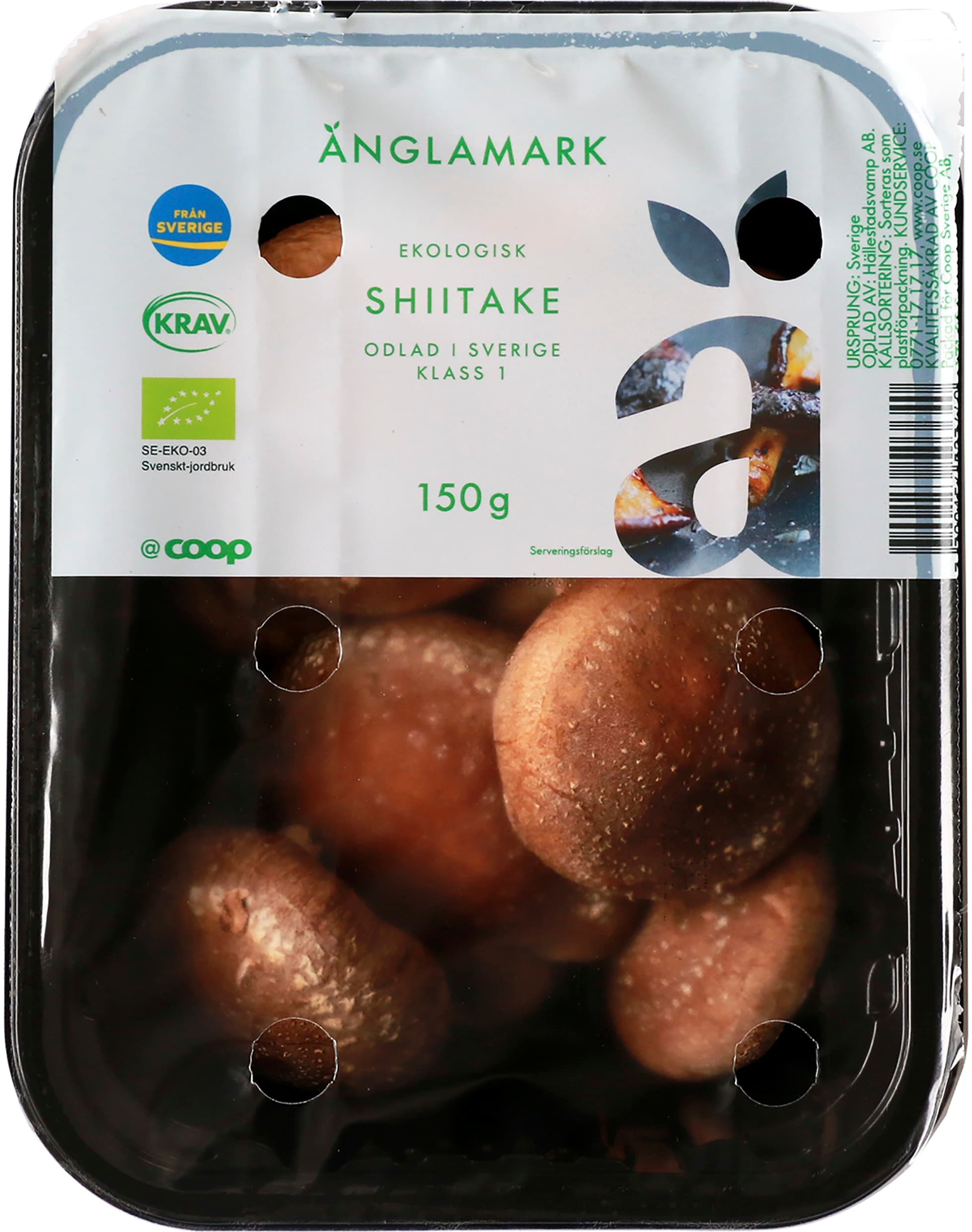 Shiitake Eko